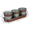 Metal Table Planters With Tray Set Of 4 In Brown And Silver Colour