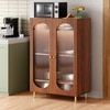 Stellar Multipurpose Storage Cabinet (Tall Size, Teak Brown)