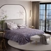 Stoa Paris Super King Size Cotton Bedsheet with 4 Pillow Covers  Size Wisteria Shade Violet