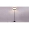 Naveen Multicolour Fabric Floor Lamp with Black Iron Base