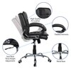 Veaoilaa Mid Back Executive Chair in Black Colour