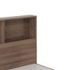 Jasper Engineered Wood Queen Size Box Storage Bed In Classic Walnut Finish