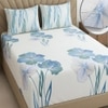 Cream Floral 270 TC Glaze Cotton Fitted Queen Size Bedsheet With 2 Pilllow Covers
