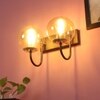 Eliante Modern Wall Lights Mild Steel, Glass & Glass Material Brown,Gold & Champaign Finish