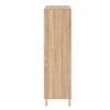 Exotica Shoe Cabinet for 24 Pairs – Large Capacity Wooden Shoe Storage Cabinet