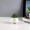 Cozy Bear Ceramic Planter