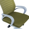 Mmarveal Mid Back Ergonomic Chair in Pearl Green Colour