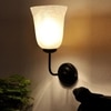 Devansh Metal Electric Wall Light in black Colour with White Shade Count of 1 Light