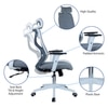 Ssilae High Back Ergonomic Chair in Grey Colour