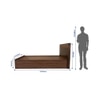 Themis Engineered Wood Queen  Size Bed With Box Storage (Walnut Finish)