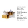 Hexa Engineered Wood Coffee Table With Storage In Frosty White And Giant Wood