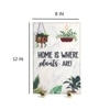 Home Is Where Plants Are Showpieces