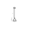 Darnar Grey Metal Hanging Light