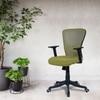 Peacifice Mid Back Ergonomic Chair in Pearl Green Colour