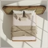Elowen Softline Queen Size Bed in velvet With Oak wood Frame & Hydraulic Storage