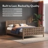 Baori Solid Wood Queen Size Bed Without Storage (Danish Walnut Finish)