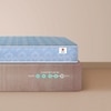 Sleepwell Ortho Mattress Medium Firm Orthopedic Support Resitec Foam Single 75x42x8 Inch