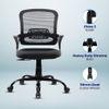 Elva Mid Back Mesh Office Chair in Black Color