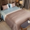 Stoa Paris 300TC UltrSatin King Size Bedsheet with 2 Pillow Covers Satin King Blue Champagne