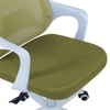 Xeanea Mid Back Ergonomic Chair in Pearl Green Colour