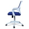 Xeanea Mid Back Ergonomic Chair in Blue Colour