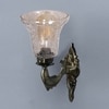Devansh Metal Electric Wall Light in Antique gold Colour with Transparent Shade Count of 1 Light