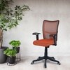 Eexcaeal Mid Back Ergonomic Chair in Orange Colour