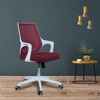 Xeanea Mid Back Ergonomic Chair in Maroon Colour