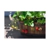 VegTrug Wooden Oval Planter Medium