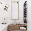 Decorative Mirror and Bathroom Mirror ELF4818MRREM00126