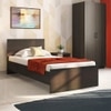 Zoey Non Storage Single Bed In Dark Wenge Finish
