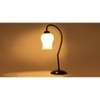 Milky Frosted Glass Curvy Table lamp with Iron Base (SP47)