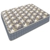Recharge Orthopedic With Rebotech Technology 4.5 Inch King Size Bonded Foam Mattress (81X70 Inches) Double-Sided Quilted, Premium Knitted Fabric