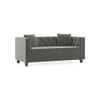Windsor Luxe 2 Seater Fabric Sofa in Ash Grey Velvet Colour