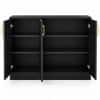 Spydercraft Accent Modern Cabinet in Black Finish