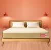 Usha Shriram AeroLatex Ortho Hybrid Queen Size Mattress (Mattress Thickness: 8 Inches, Mattress Dimensions: 75 x 60 in)