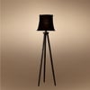 Devansh Tripod Floor Lamp