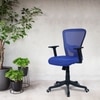 Peacifice Mid Back Ergonomic Chair in Blue Colour