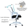 Xeanea Mid Back Ergonomic Chair in Black Colour