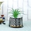 Highly Attractive Faux Plant With A Geometric Patterned Ceramic Pot In A Stand