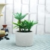 Artificial Succulent Indoor Plant With Ceramic Pot