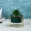 Aloe Vera Plant In Green Ceramic Pot With A Metal Stand