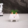 Dreamy Fox Ceramic Planter