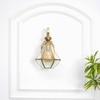 Giovanny Classic Brass and Glass Wall Light