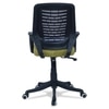 Diicea Mid Back Ergonomic Chair in Pearl Green Colour