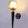 Eliante Mashal Wall Lights Mild Steel & Glass Material Brown & Clear Finish