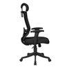 Werner Study Chair in Black Colour