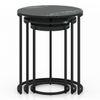 Livingston Metal Side Table in Black Finish