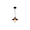 Luxury Style Black Hanging Light