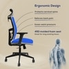 Ignis Grey Ergonomic Study Chair